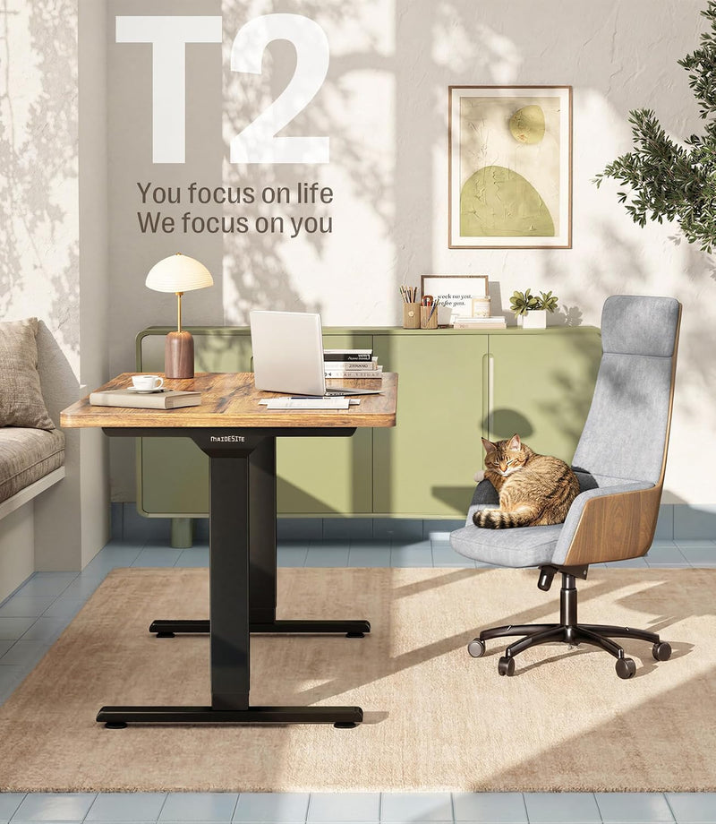 T2 Standing Desk Frame Dual Motor Electric Legs