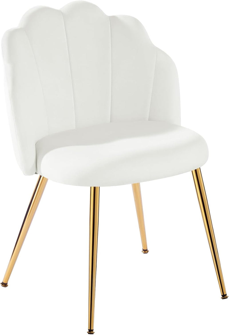 Table Chair with Back Legs Shell for Bedroom