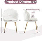 Table Chair with Back Legs Shell for Bedroom