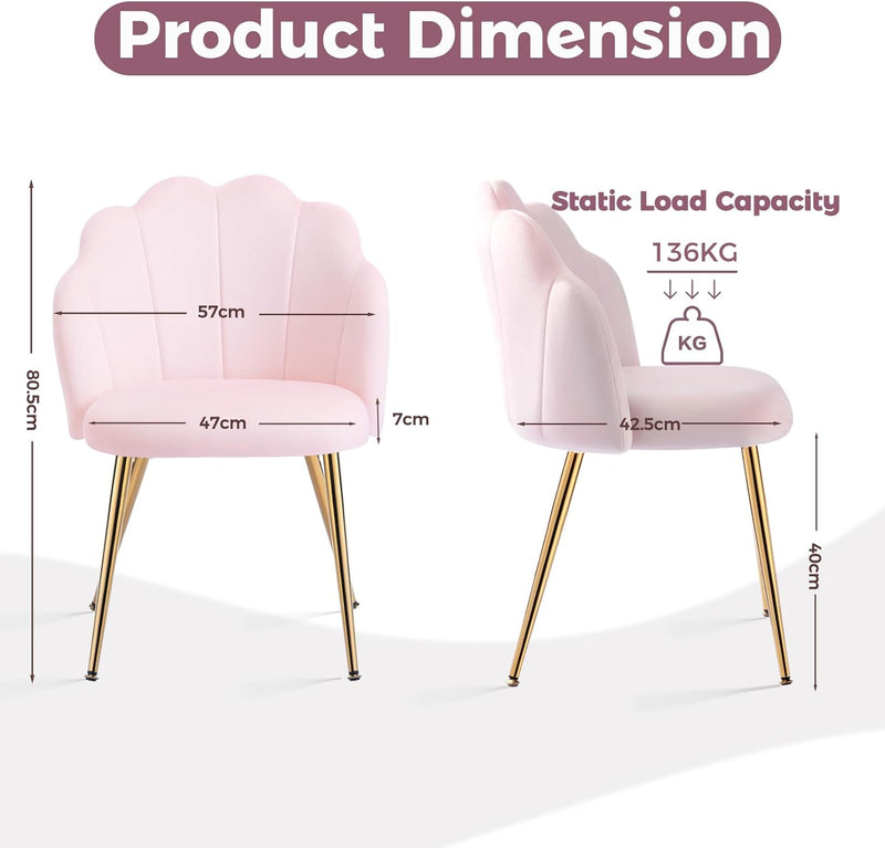 Table Chair with Back Legs Shell for Bedroom