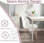 Table Chair with Back Legs Shell for Bedroom