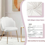 Table Chair with Back Legs Shell for Bedroom