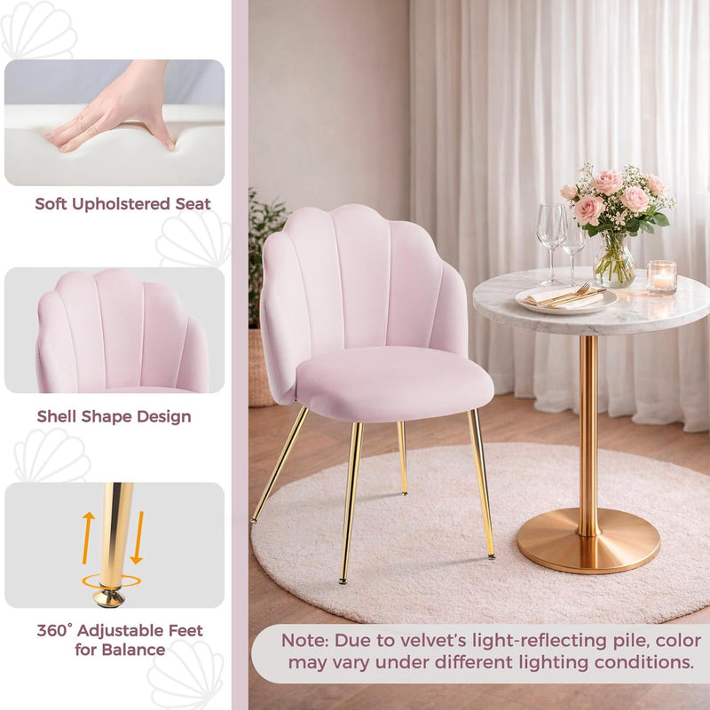 Table Chair with Back Legs Shell for Bedroom