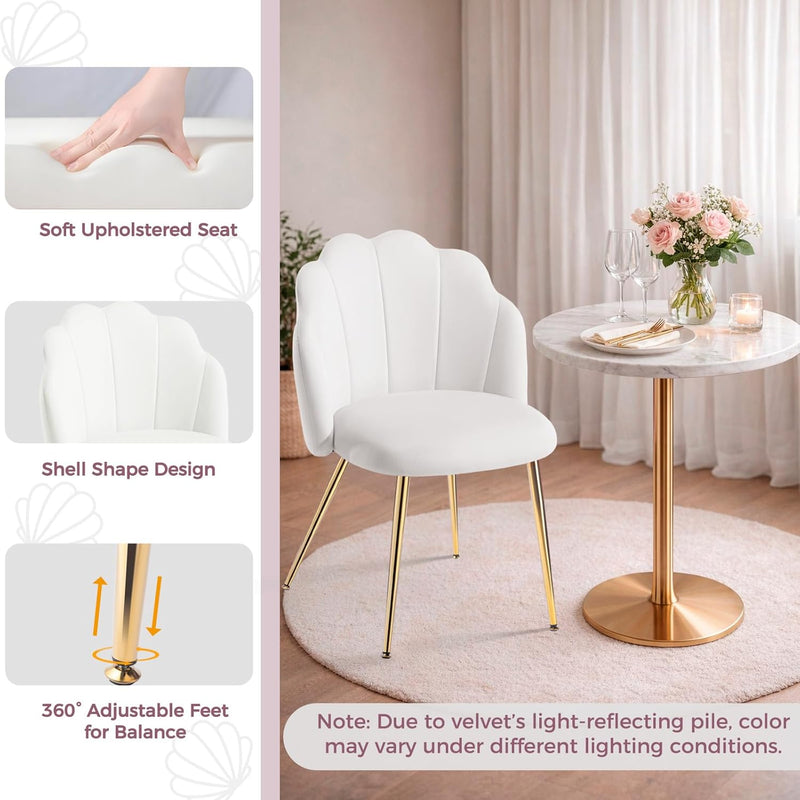 Table Chair with Back Legs Shell for Bedroom