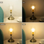 Table Lamp with Touch Activated Base 3 Brightness