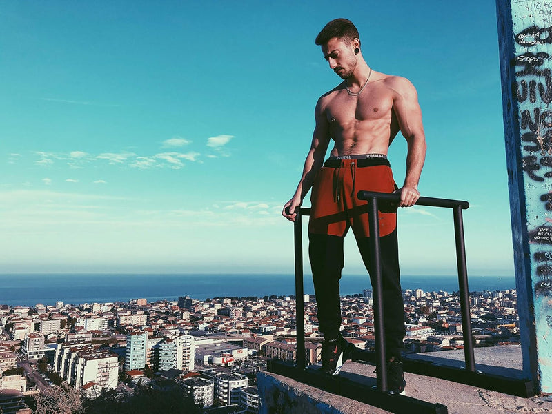Fitness Tall Parallettes Dip Bars