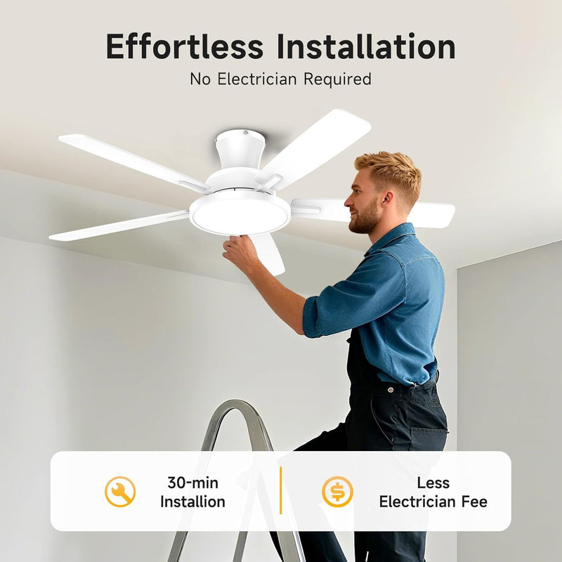 52 Inch Ceiling Fan Lights with Remote Control