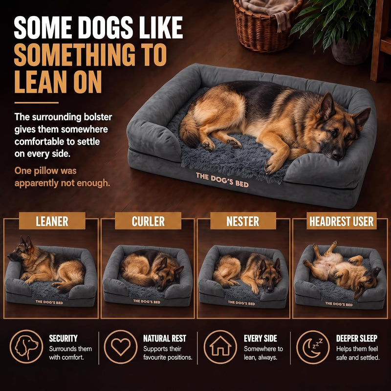 The Dog’s Bed Orthopaedic Memory Foam Dog
