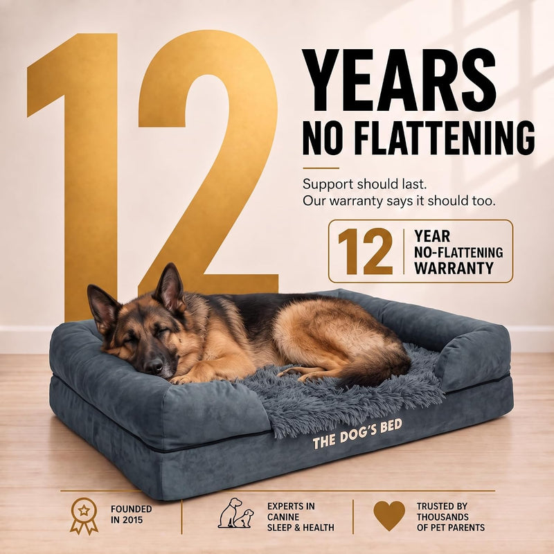 The Dog’s Bed Orthopaedic Memory Foam Dog