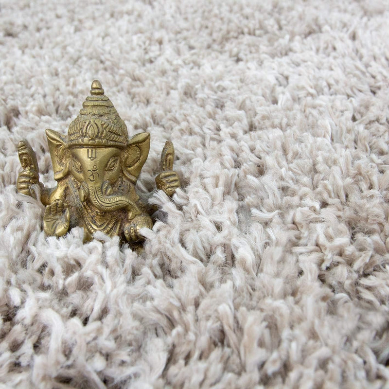 Thick Shaggy Rug
