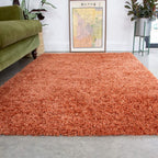 Thick Shaggy Rug Modern