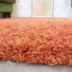 Thick Shaggy Rug Modern