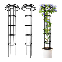 Trellises & Arches