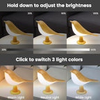 Touch Control Table Lamp Night Light Bedside Lamps (2Pack)