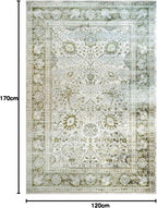 Traditional Antique Floral Sage Living Room Carpet Rug