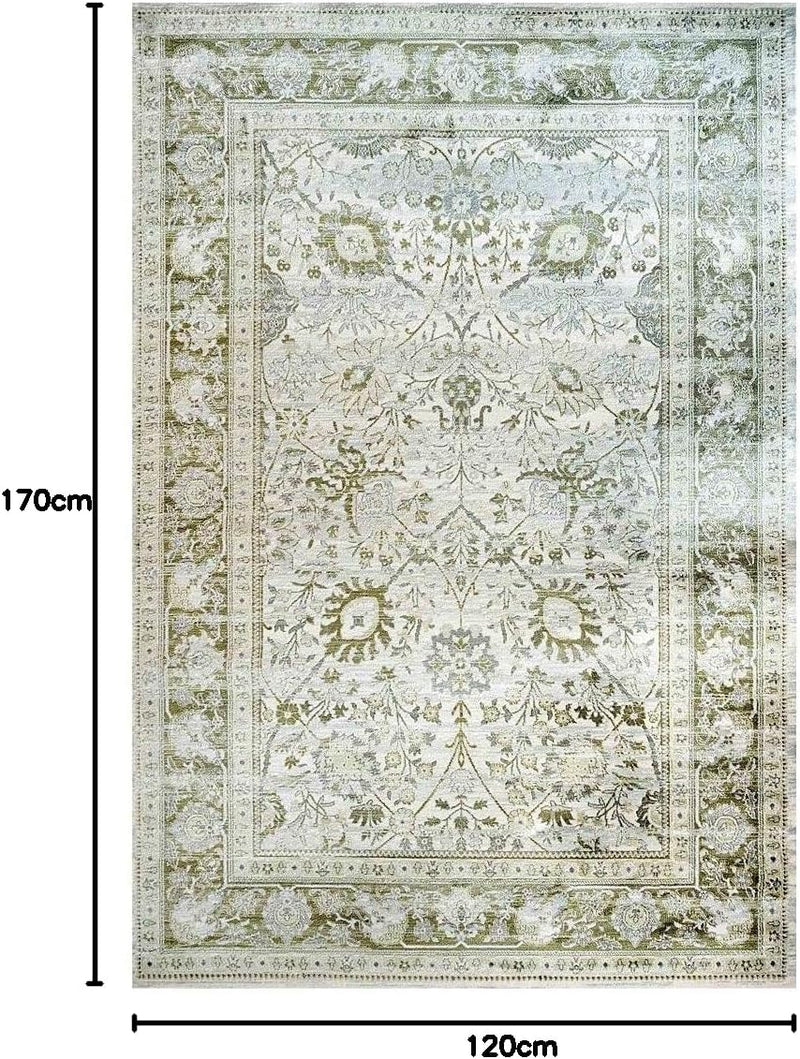 Traditional Antique Floral Sage Living Room Carpet Rug