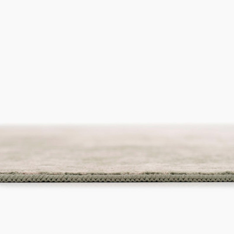 Traditional Pattern Flatweave Area Rug Distressed Medallion