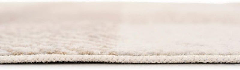 Traditional Pattern Flatweave Area Rug Distressed Medallion