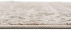 Traditional Pattern Flatweave Area Rug Distressed Medallion