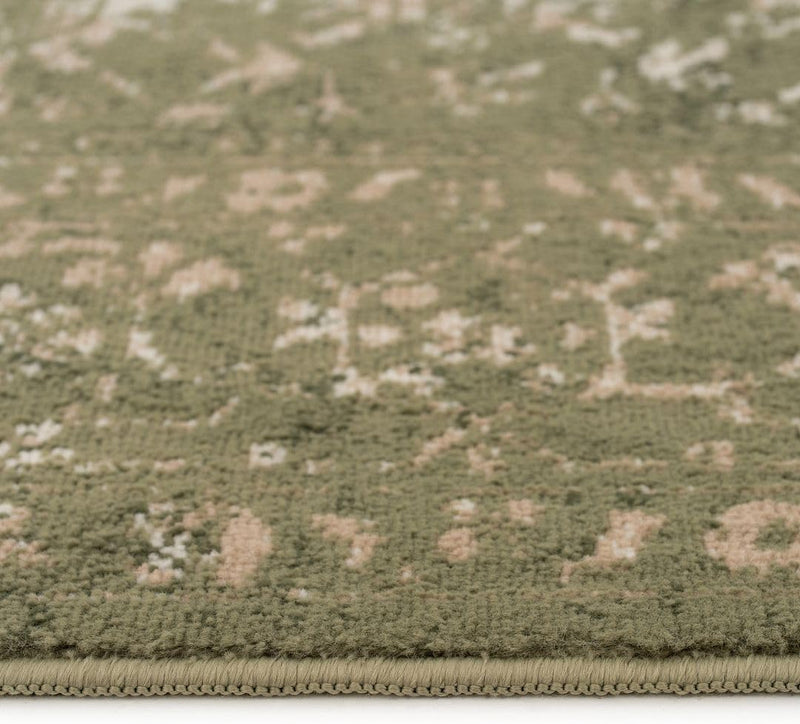 Traditional Pattern Flatweave Area Rug Distressed Medallion