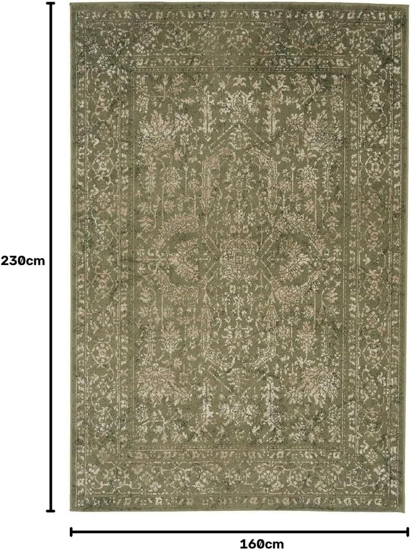 Traditional Pattern Flatweave Area Rug Distressed Medallion