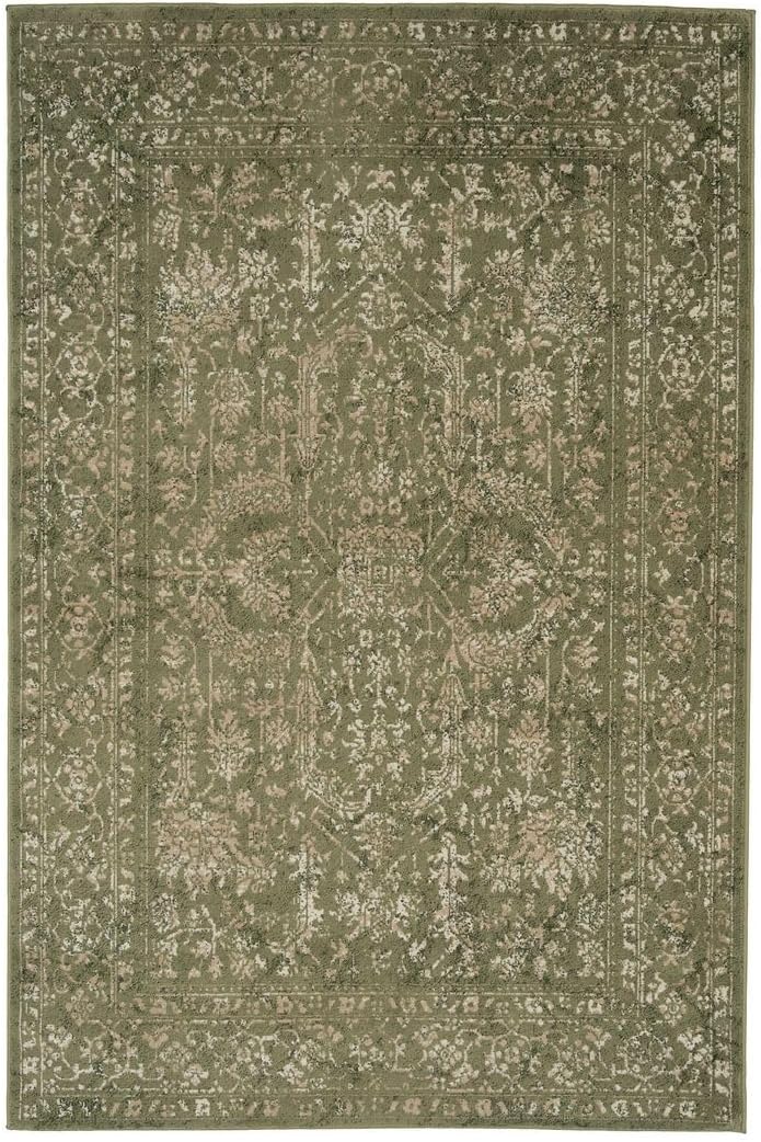Traditional Pattern Flatweave Area Rug Distressed Medallion