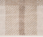Traditional Pattern Flatweave Area Rug Distressed Medallion