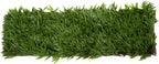 Trellis Artificial Expanding Willow Fence with Leaf Foliage