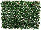 Green Red Leaf