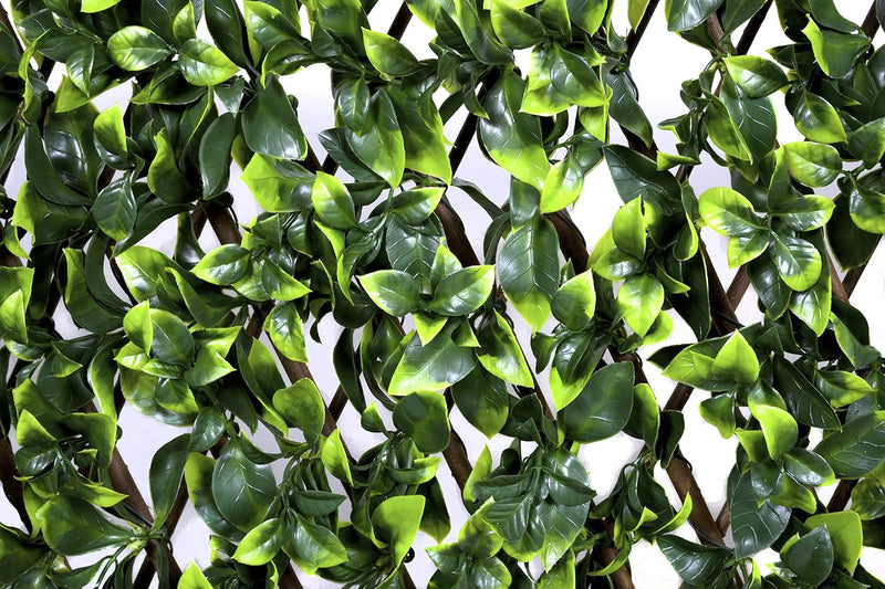 Trellis Artificial Expanding Willow Fence with Leaf Foliage