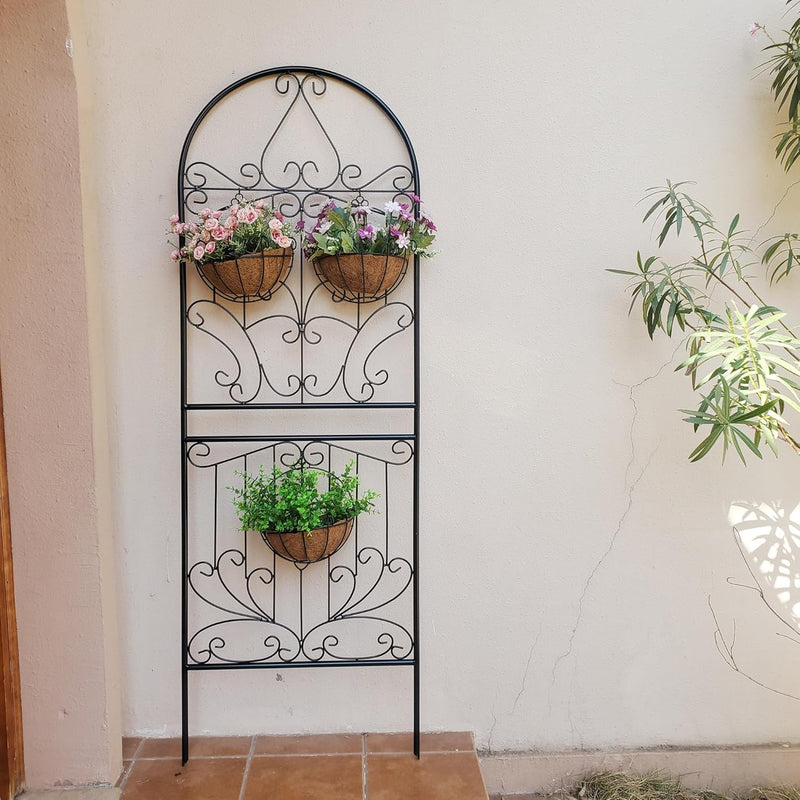 Trellis for Climbing Plants 59" H X 22 (1 Pack)