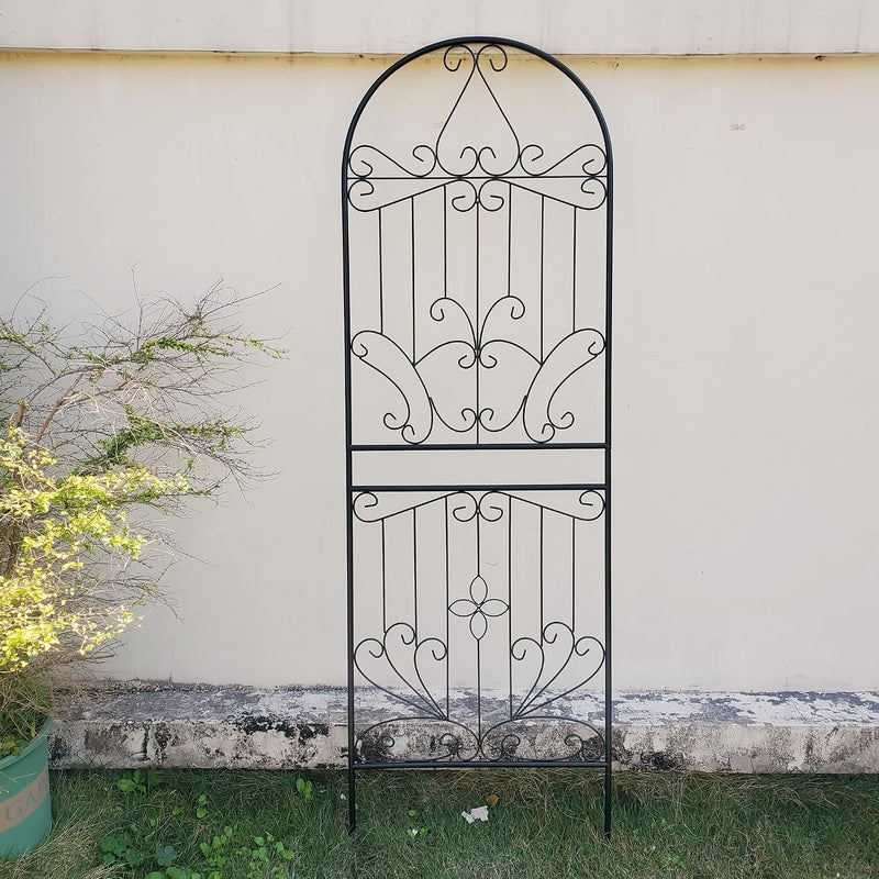 Trellis for Climbing Plants 59" H X 22 (1 Pack)