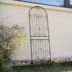 Trellis for Climbing Plants 59" H X 22 (1 Pack)