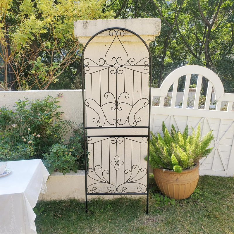 Trellis for Climbing Plants 59" H X 22 (1 Pack)