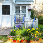 Trellis for Climbing Plants 70.8" H X 25.6 (1 Pack)