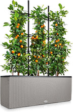 Trio Cottage 30 Self Watering Planter Large Rattan