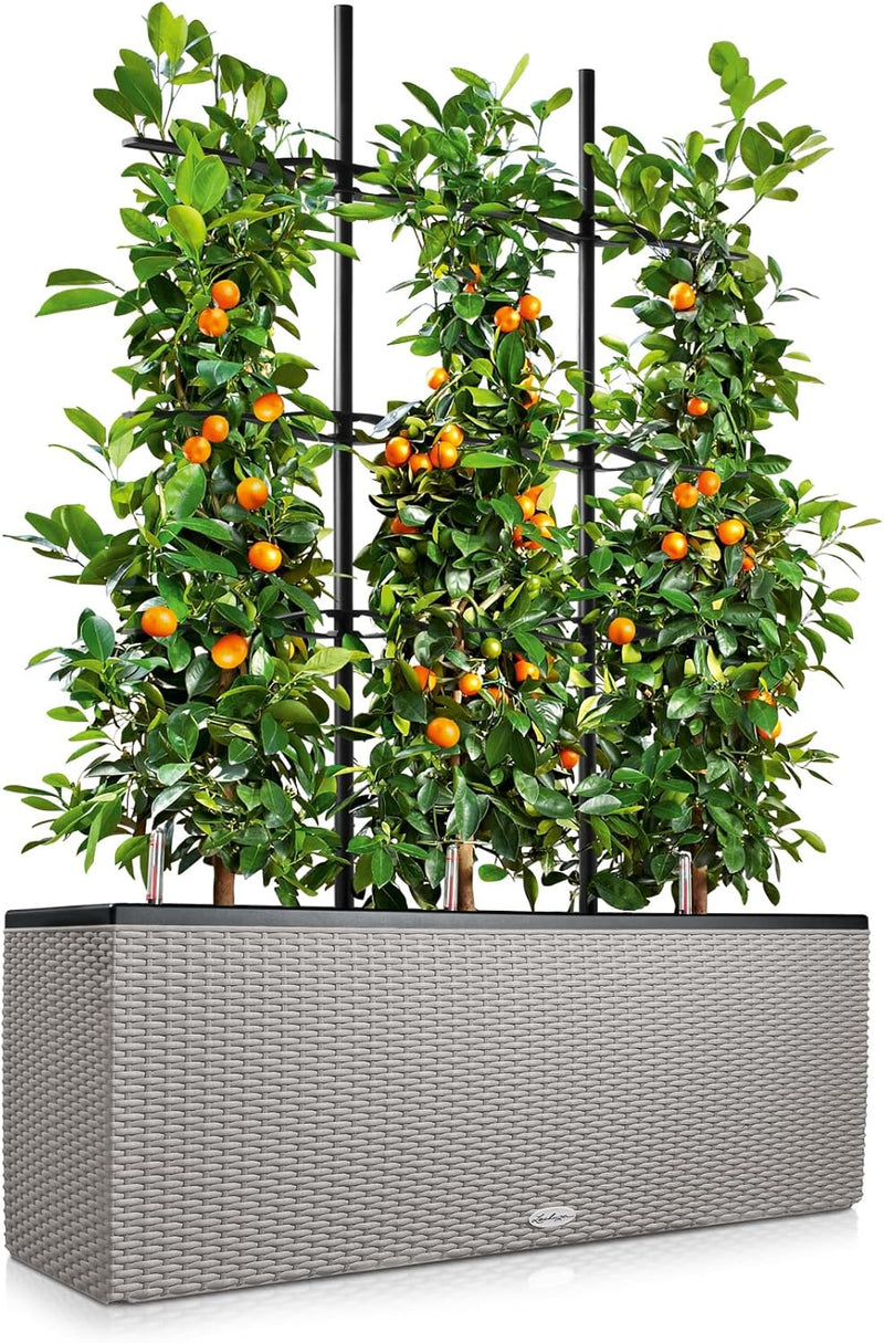 Trio Cottage 30 Self Watering Planter Large Rattan (1 Pack)