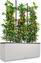 Trio Cottage 30 Self Watering Planter Large Rattan (1 Pack)
