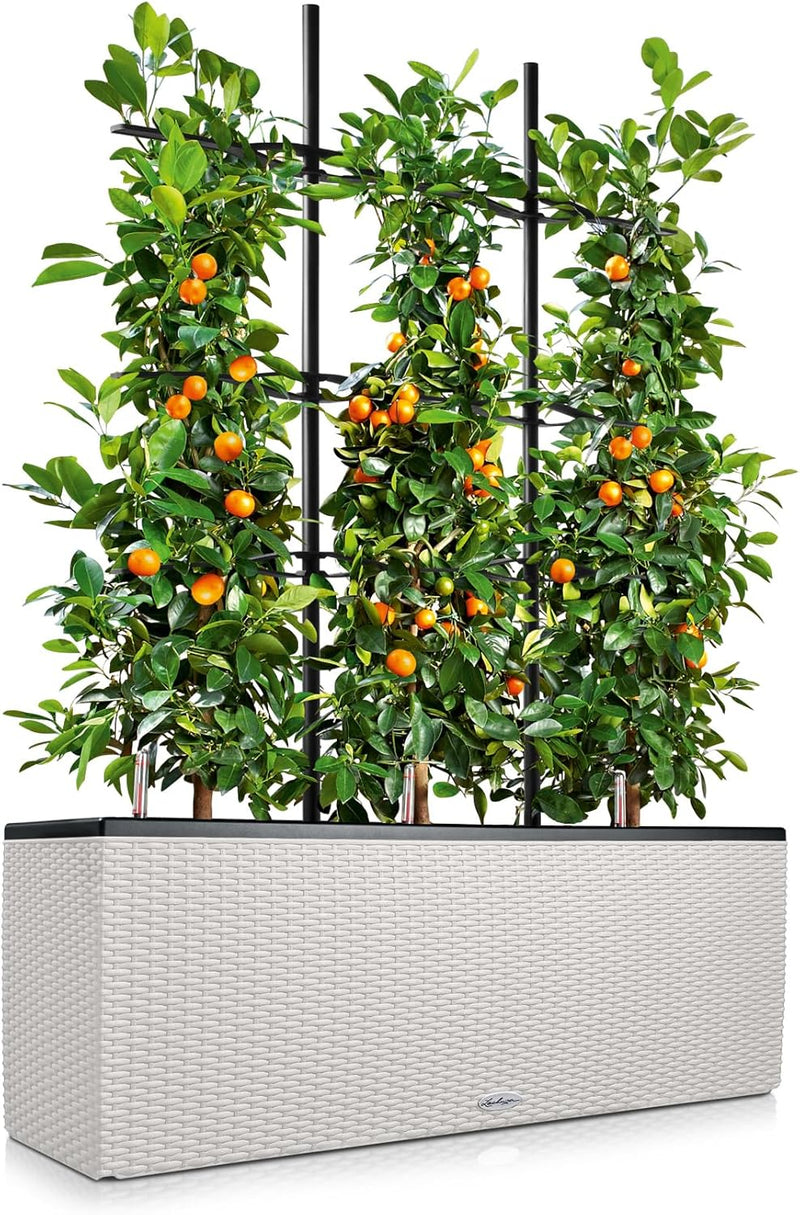 Trio Cottage 30 Self Watering Planter Large Rattan (1 Pack)