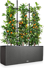 Trio Cottage 30 Self Watering Planter Large Rattan