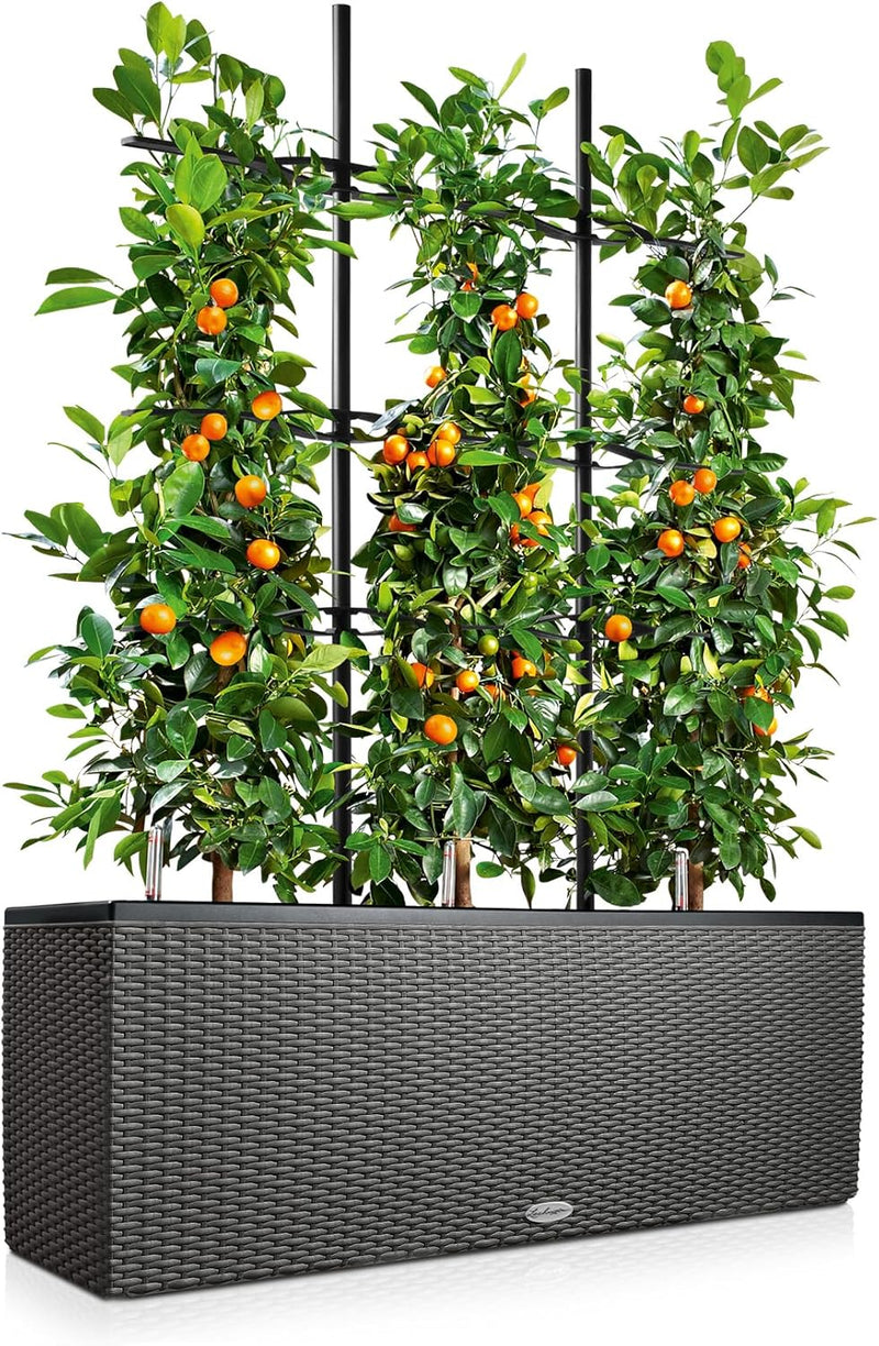 Trio Cottage 30 Self Watering Planter Large Rattan (1 Pack)