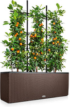 Trio Cottage 30 Self Watering Planter Large Rattan
