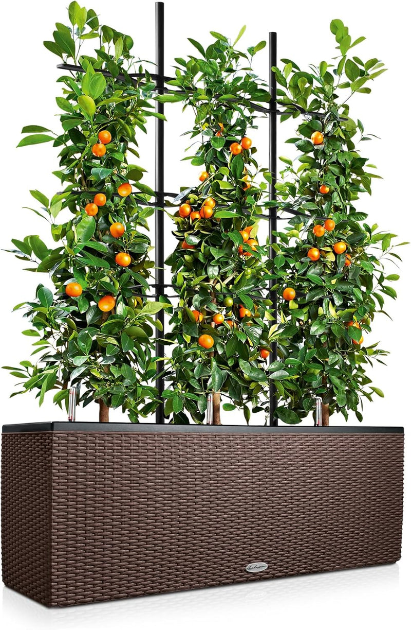 Trio Cottage 30 Self Watering Planter Large Rattan (1 Pack)