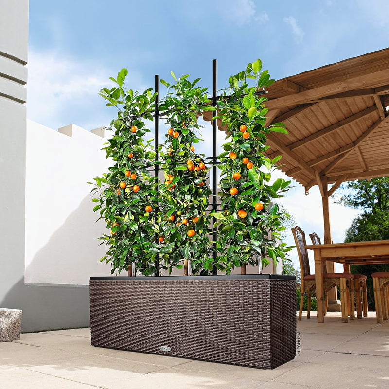Trio Cottage 30 Self Watering Planter Large Rattan (1 Pack)