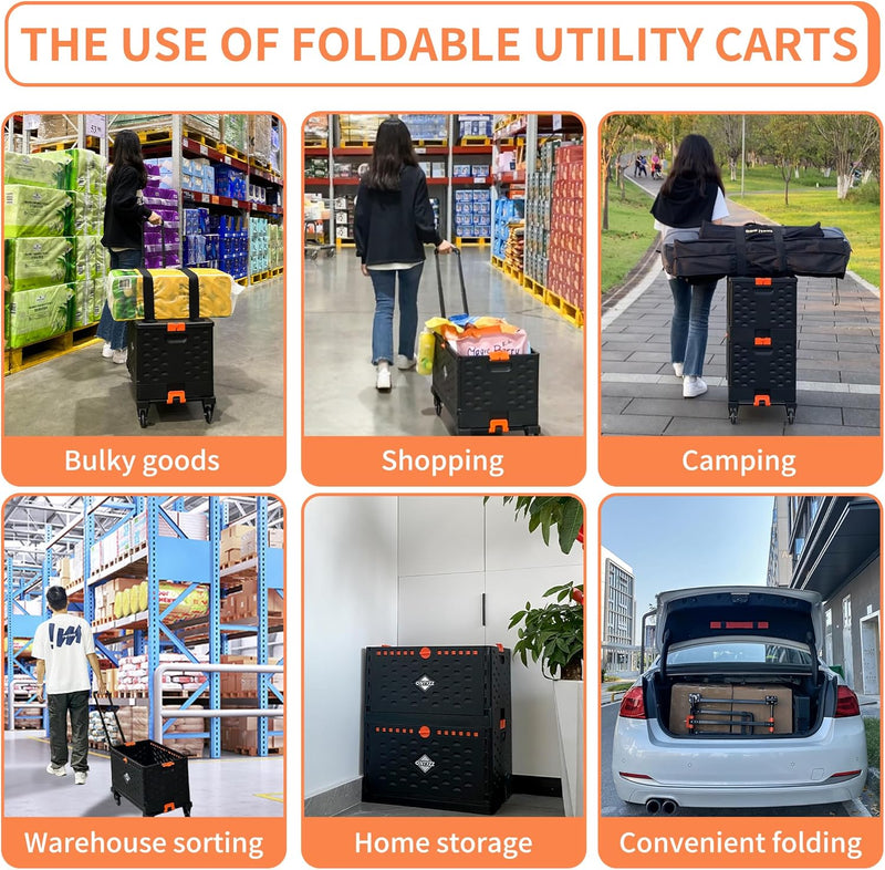 Trolley Foldable Utility Cart Wagon with One Separate