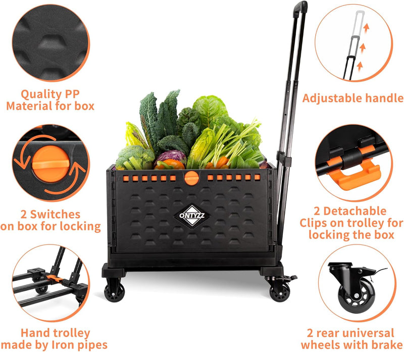Trolley Foldable Utility Cart Wagon with One Separate