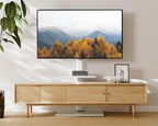 TV Floor Stand for 32 to 60 Inch