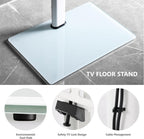 TV Floor Stand for 32 to 60 Inch