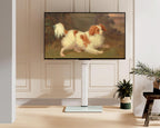 TV Floor Stand for 32 to 60 Inch