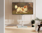 TV Floor Stand for 32 to 60 Inch